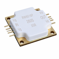 GaN PA-RW6016P